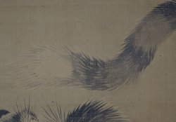 Bunzen tiger scroll 1900