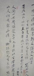 China Sumi paiting 1880