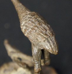 Crane and the frog 1800