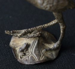 Crane and the frog 1800