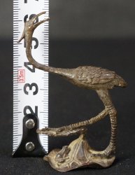 Crane and the frog 1800