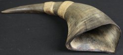 Dragon Ryu 1950 Suigyu