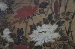 Antique wild flowers 1700