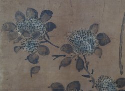 Antique wild flowers 1700