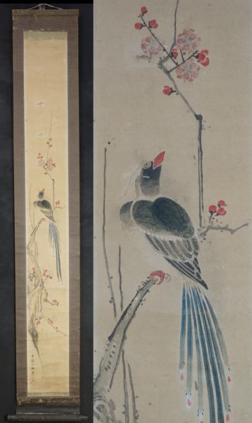 Early spring Ume 1850