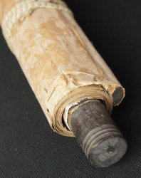 Early spring Ume 1850