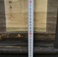 Early spring Ume 1850