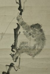 Edo Saru 1800s