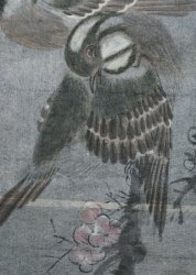 Edo Sumi-e birds 1800