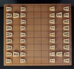 Shogi Tenjyo craft