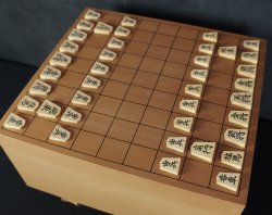 Shogi Tenjyo craft