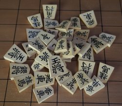 Shogi Tenjyo craft
