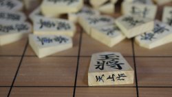 Shogi Tenjyo craft