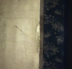 Floating garden 1850