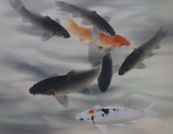 Floating Koi watercolor 1980