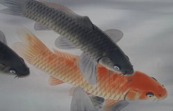 Floating Koi watercolor 1980