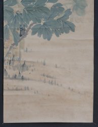 Floral Washi 1900