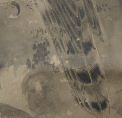Fujinyorō falcon 1760 Edo