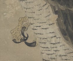 Fujinyorō falcon 1760 Edo