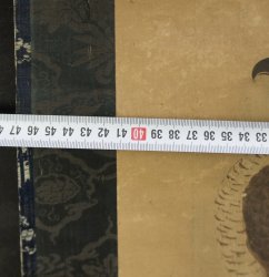 Fujinyorō falcon 1760 Edo
