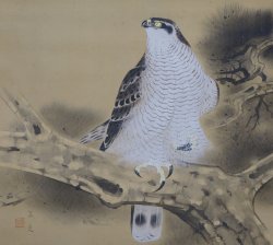 Fukuda Eagle scroll 1950