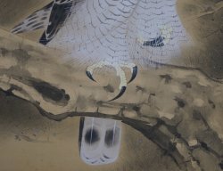 Fukuda Eagle scroll 1950