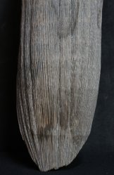 Fukurokuju bamboo carving 1900