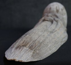 Fukurokuju bamboo carving 1900