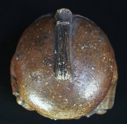 Fukusuke fortune 1970