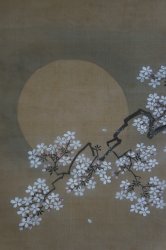 Full moon Sakura 1880