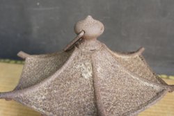 Garden lamp 1900 Tsuridoro