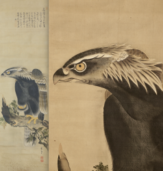 Genku eagle 1800