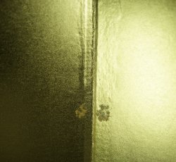 Gold Byobu screen1980