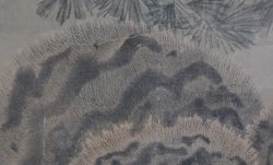 Gyoshu tiger 1900