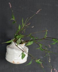 Hana-kake 1950 Wabisabi