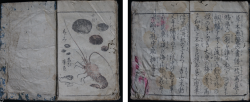 Hokusai school book 1800s