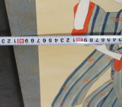 Hotaru firefly 1900