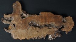 Ikebana base wood 1970