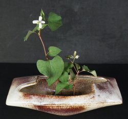 Ikebana minimalist1970