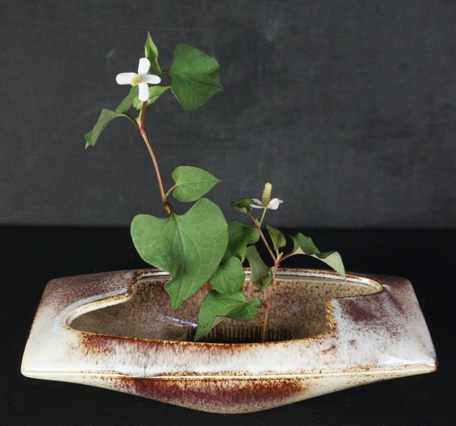 Ikebana minimalist1970