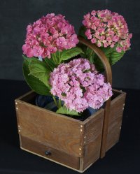 Ikebana Wabisabi craft 1900