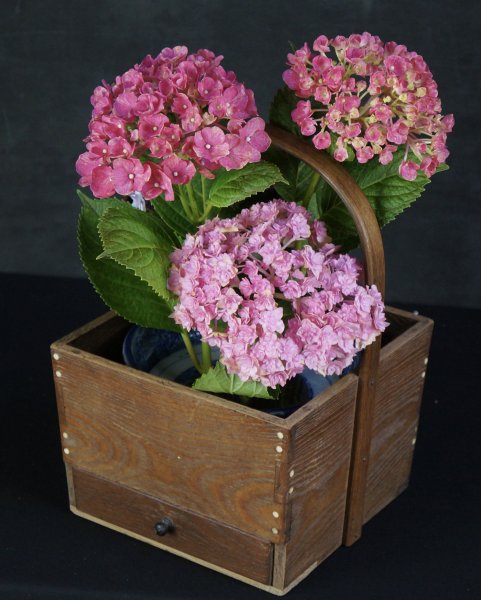 Ikebana Wabisabi craft 1900