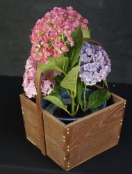 Ikebana Wabisabi craft 1900