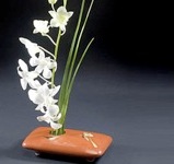 Ikebana