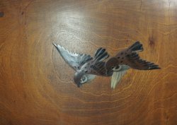 Wabisabi Hibachi 1900 sparrow