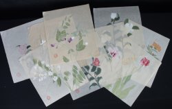 Japan floral sketch 1910 