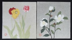 Japan floral sketch 1910 