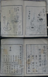 Japan Ikenana book 1789