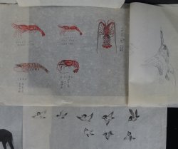 Japan ink Sumi-e watercolor 1900s