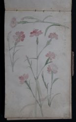 Japan landscape sketchbook 1930